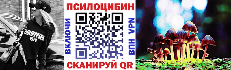 omg сайт  Белебей  Псилоцибиновые грибы GOLDEN TEACHER 